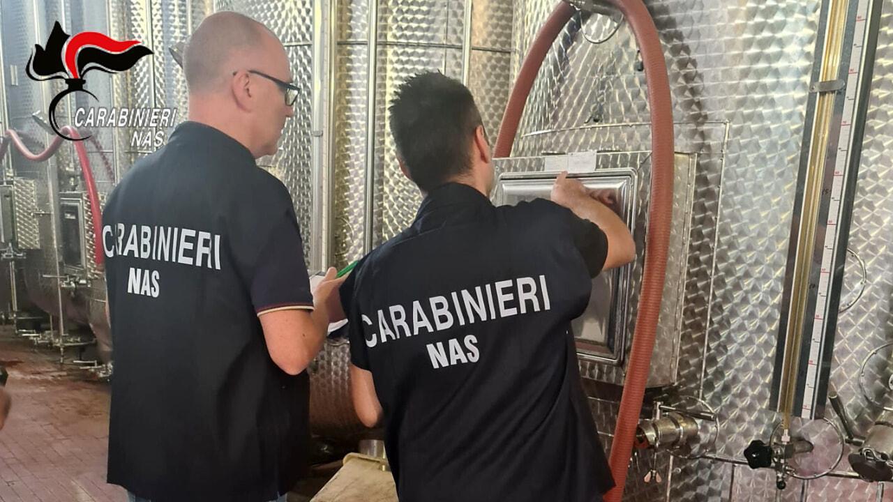 Blitz dei Nas a Roma e Latina, sequestrati 10mila litri di vino: carenze igieniche e strutturali