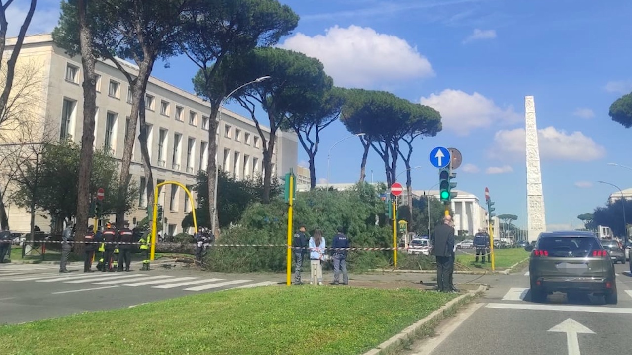 Roma, grosso pino crolla sulla Colombo e colpisce 2 veicoli: un ferito