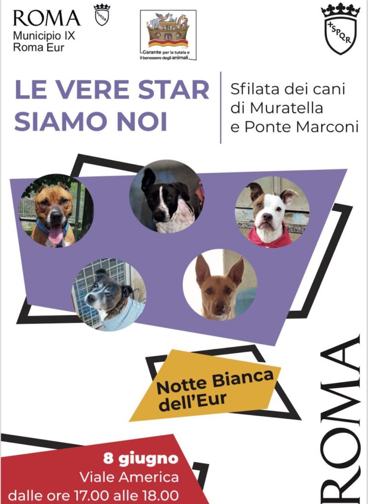 Locandina sfilata cani Muratella