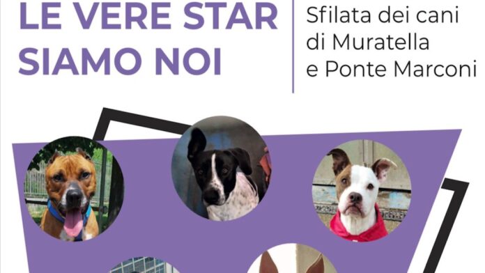 Notte Bianca Eur, domani sfilata cani della Muratella. Garante animali: 