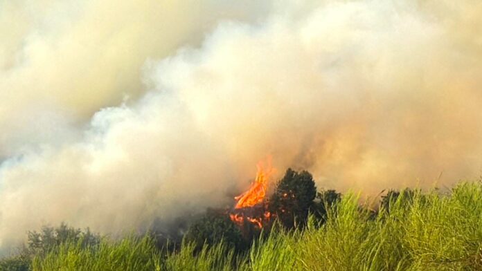 Vasto incendio sterpaglie alle porte di Roma, in fiamme 40 ettari a Magliano Romano