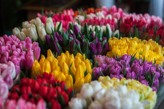 mercato dei fiori