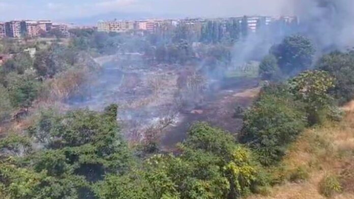 Roma, vasto rogo di sterpaglie al Prenestino: evacuati bambini centro estivo