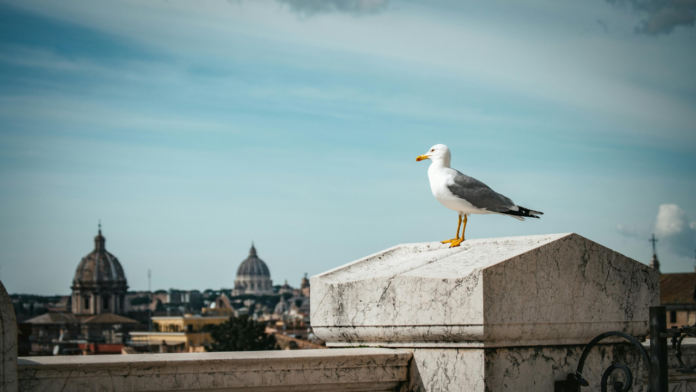 meteo