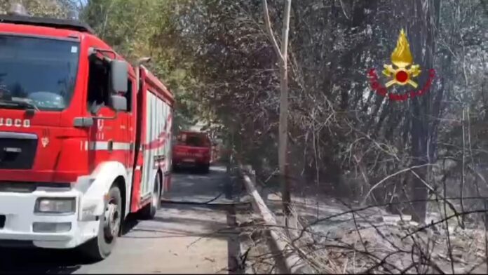 Incendio a Castelnuovo di Porto: evacuate abitazioni. Attività in fiamme in zona Anagnina