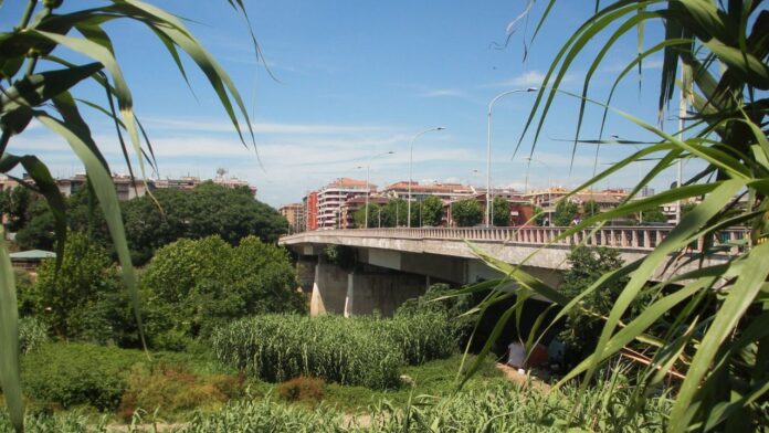 tevere cadavere