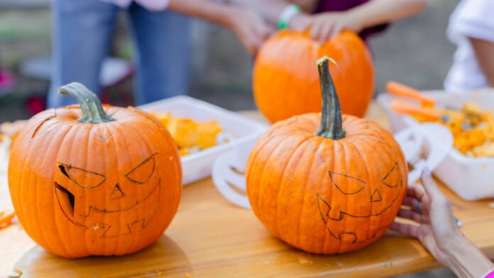 Fiumicino, torna il Pumpkin Patch delle zucche a Torrimpietra tra laboratori e show cooking