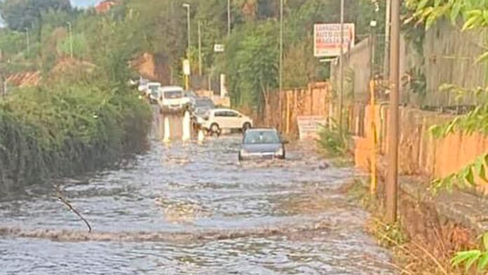 Maltempo, a Roma allagamenti e alberi caduti: 50 interventi questa mattina