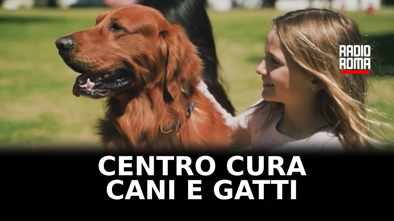 Center for the care of dogs and cats for fragile families inaugurated in Rome