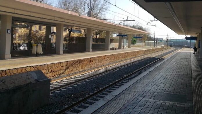 Maltempo, albero cade sulla Roma lido: stop treni tra Colombo e Acilia